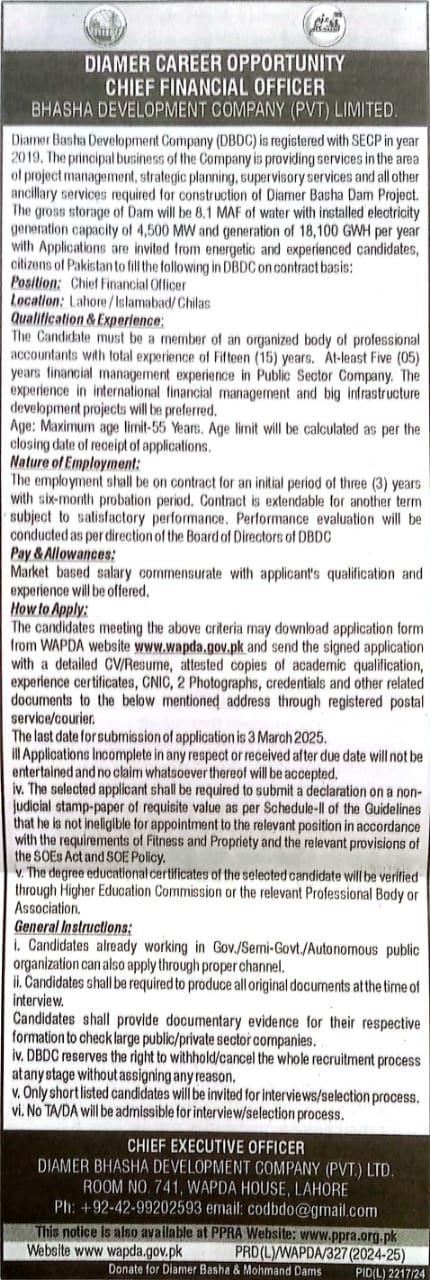 Chief Financial Officer (CFO)